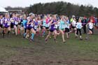 Junior girls 1. Photo: David T. Hewitson/Sports for All Pics